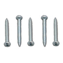 012-PSQ500 8 X 1 Screw Zinc 500 Pack Camper RV Travel Trailer