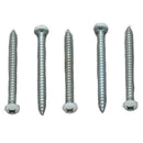 012-PSQ50W 8 X 1 Screw Polar White 50 Pack Camper RV Travel Trailer