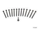 Cylinder Head Gasket Bolts BMW 323 325 328 330 E36 E46-0