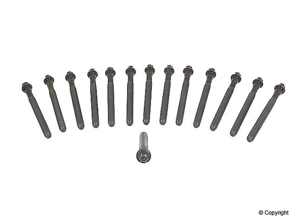 Cylinder Head Gasket Bolts BMW 323 325 328 330 E36 E46-0