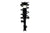 Front Right Complete Strut Assembly for Suzuki Aerio