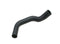 ML Radiator Hose-0