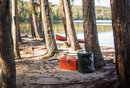 Collapsible Trash Can 11.8 Gallon 18-1/2" Polyethylene Camping RV
