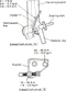 uzuki Samurai Clutch Cable Kit SJ413 Hartop Softtop (eBay