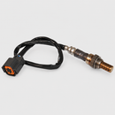 Downstream oxygen sensor with four-terminal orange-sealed square connector