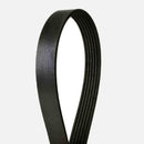 Belt Volkswagen Cabrio Golf Jetta Passat 1993-1996