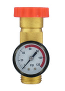 A01-1124VP Water Regulator Gauge Combo Brass Lead-Free Camper RV Travel Trailer