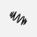 Rear Coil Spring for BMW 323Ci 323i 325Ci 325i 328Ci 328i 330Ci 330i E46