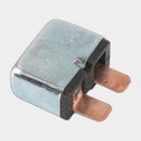 Door Lock Control System Fuse for Isuzu Trooper