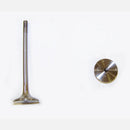 Engine Exhaust Valve Volkswagen Beetle Golf Jetta Passat 1998-2001