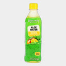 Chestnut Hill Mango Aloe Vera Drink, 16.9 fl oz