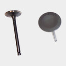Engine Intake Valve for Isuzu Oasis