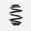 Rear Coil Spring Audi TT Quattro 2000-2001