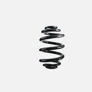 Rear Coil Spring for BMW 325xi 330xi E46 2001