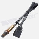 Oxygen (O2) Sensor Volkswagen Beetle Golf Jetta 1998-2001