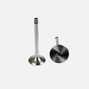 Engine Exhaust Valve Volkswagen Beetle Cabrio Golf Jetta Passat 1993-2001