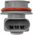 Tail Lamp Socket Volkswagen Beetle EuroVan 1998-2001