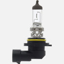Headlight Bulb for BMW 525i 525iT 530i 535i 540i 740i 740iL 750iL E32 E34
