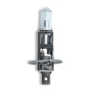 Front Fog Light Bulb for Mercedes-Benz 300SL 500SL 600SL SL320 SL500 SL600