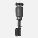 Front Left Air Suspension Strut for BMW X5 E53