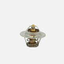 Thermostat Audi TT Quattro 2000-2001