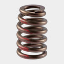 Engine Valve Spring for Isuzu Hombre