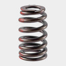 Engine Valve Spring for Isuzu Ascender