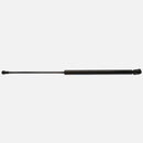 Hood Lift Support Volkswagen Cabrio Golf Jetta 1999-2001