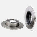 Rear Rotor 2-Pack Audi 100 Quattro 1989-1991
