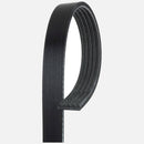 Belt for BMW 323i 323is 328i 328is 525i 525iT 528i M3 Z3 E34 E36 E39 E46