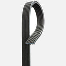 Belt for Volvo C70 S70 V70 2000-2001