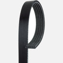 Belt for BMW 750iL 850i 1991