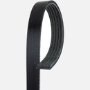 Belt Saab 9000 1986-1990