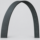 Dayco 5040315DR belt front view