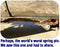 GRADE 8 Greaseable Spring Pin for FJ40, FJ60, or FJ62 81-90-1423