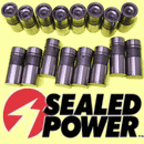 16 Hydraulic Lifters Ford 289 302 351 460 V8 Mustang GT-6601
