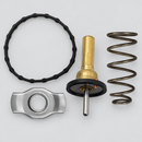 Engine coolant thermostat view 1